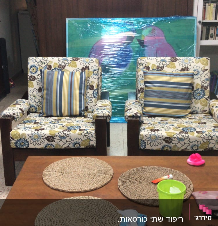 כריות על כורסאות עם ריפוד פרחוני ופסים